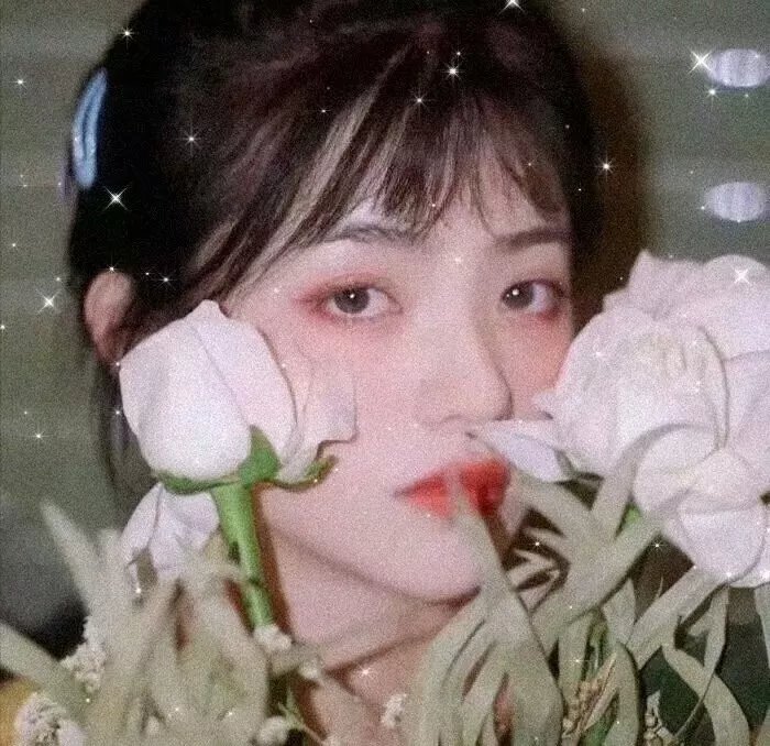 愿你在此 封面